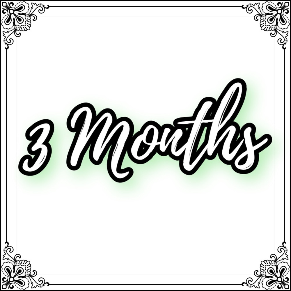 3 Months